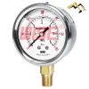 Đồng hồ áp suât Wise P254